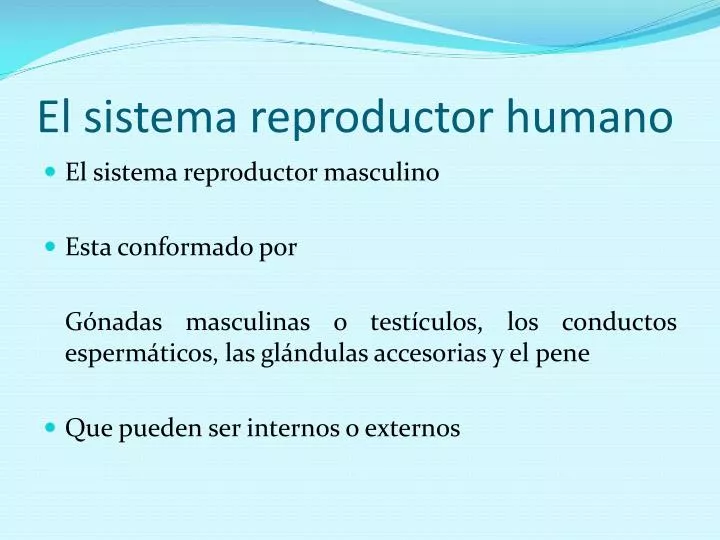 el sistema reproductor humano