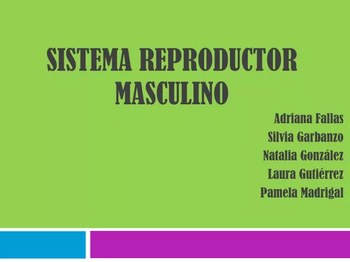 sistema reproductor masculino