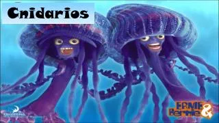 Cnidarios