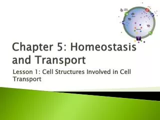 Chapter 5: Homeostasis and Transport