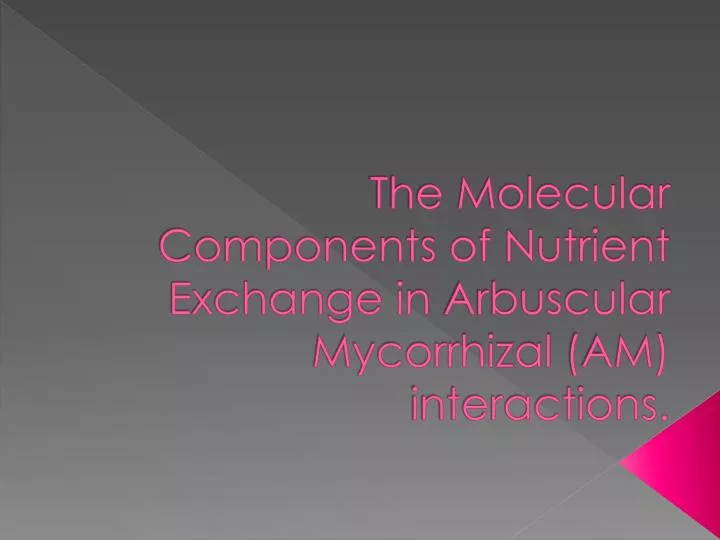 the molecular components of nutrient exchange in arbuscular mycorrhizal am interactions