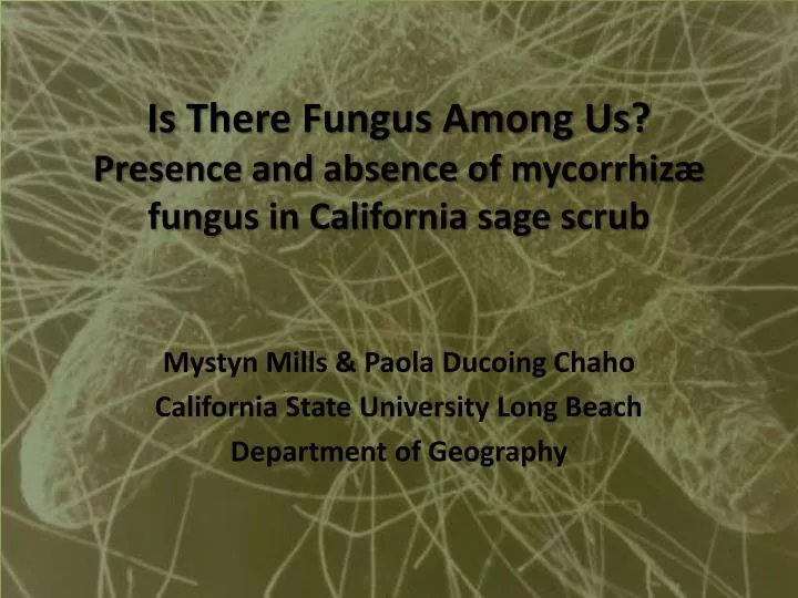 is there fungus among us presence and absence of mycorrhiz fungus in california sage scrub