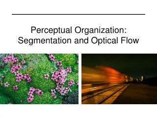 Perceptual Organization: Segmentation and Optical Flow