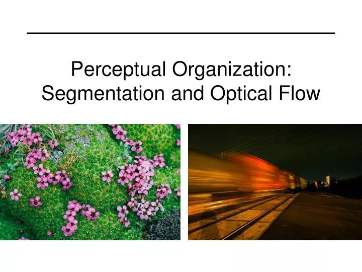 perceptual organization segmentation and optical flow