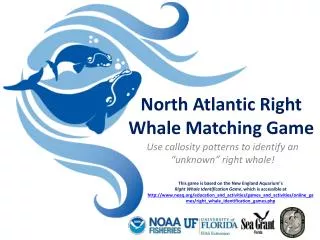 North Atlantic Right Whale Matching Game