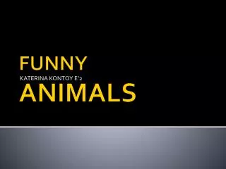 FUNNY ANIMALS