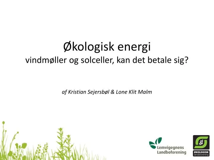 kologisk energi vindm ller og solceller kan det betale sig af kristian sejersb l lone klit malm