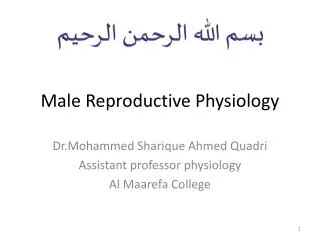 Male R eproductive Physiology