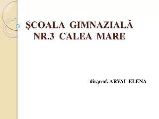 coala gimnazial nr 3 calea mare