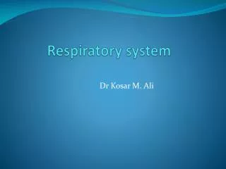 Respiratory system