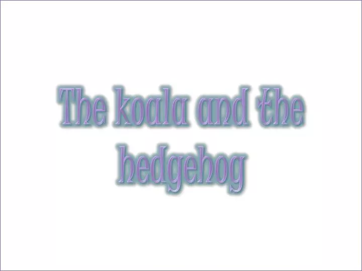 the koala and the hedgehog