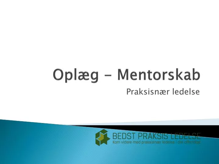 opl g mentorskab