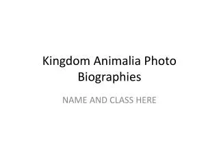 Kingdom Animalia Photo Biographies