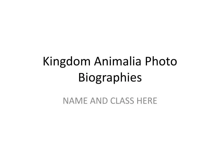 kingdom animalia photo biographies