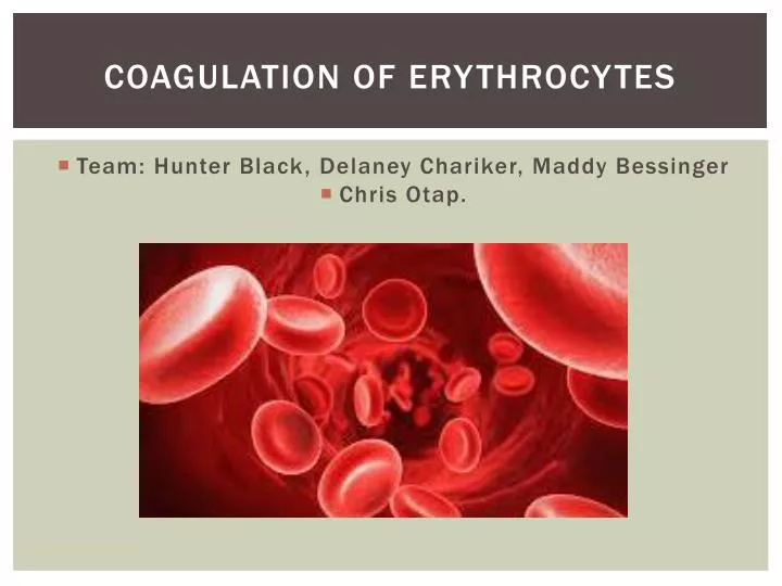 coagulation of erythrocytes