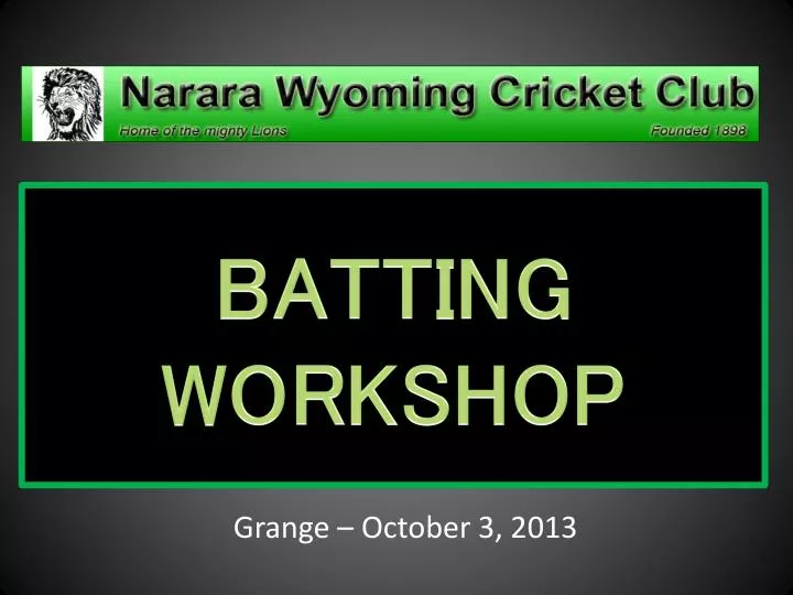 batting workshop