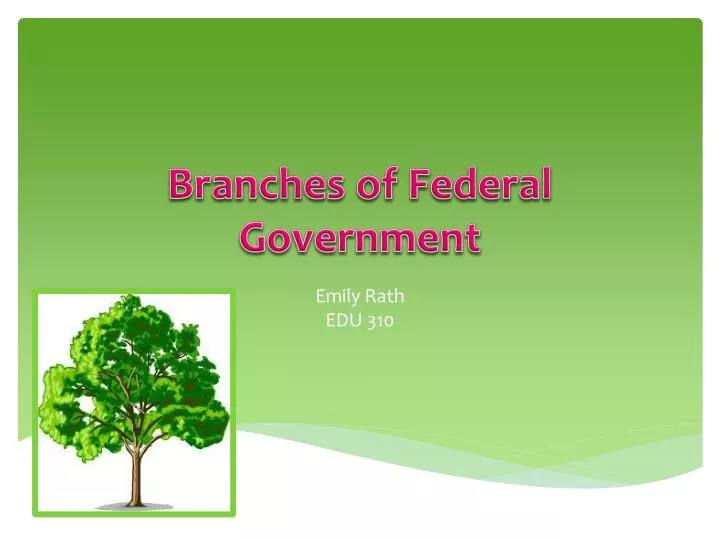 branches of federal government