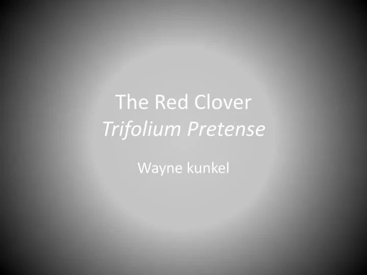 the red clover trifolium pretense