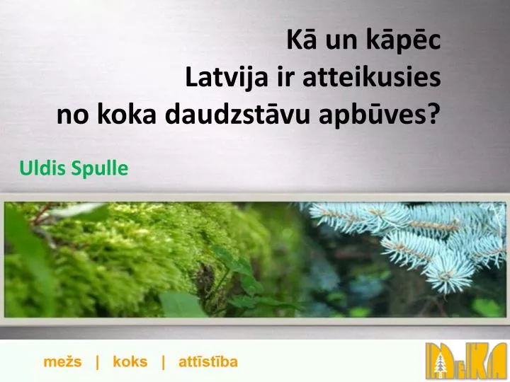 k un k p c latvija ir atteikusies no koka daudzst vu apb ves