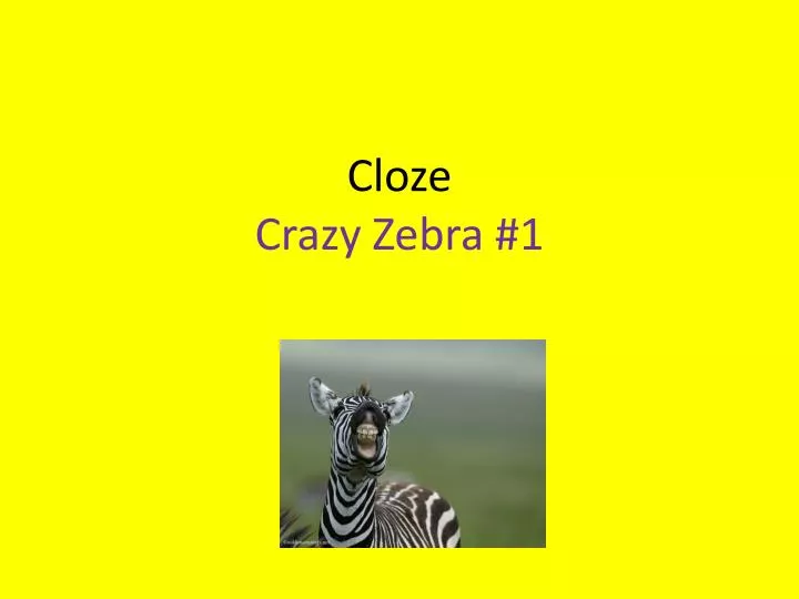 cloze crazy zebra 1