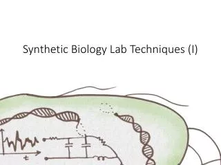 Synthetic Biology Lab Techniques (I)