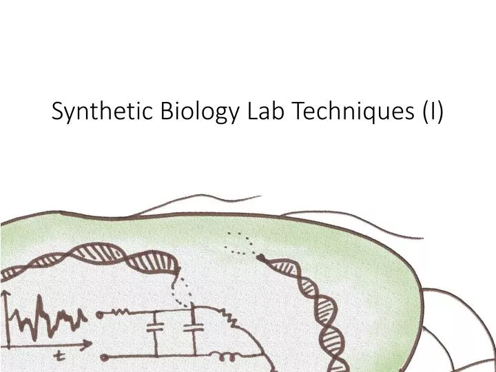 synthetic biology lab techniques i