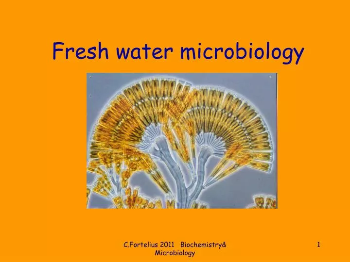 fresh water microbiology