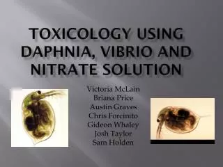 Toxicology Using Daphnia, ViBRIo and Nitrate Solution