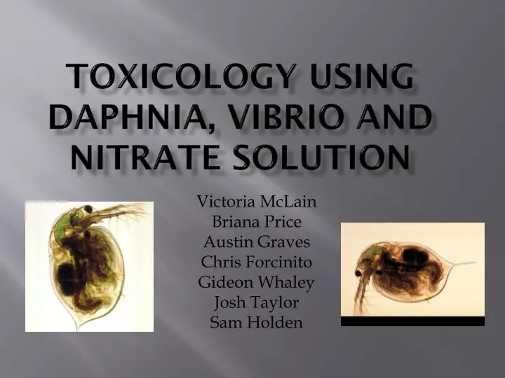 toxicology using daphnia vibrio and nitrate solution