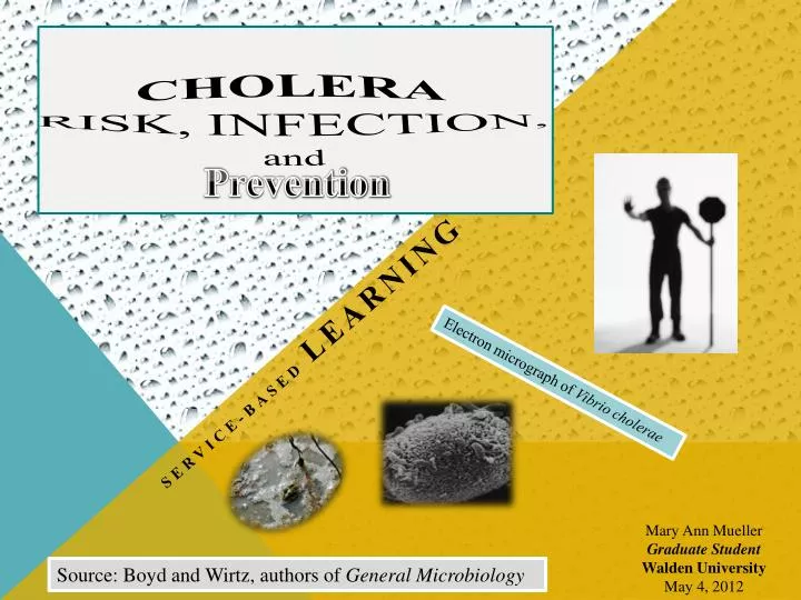 cholera risk infection and