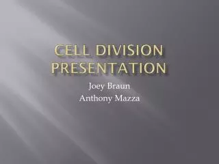 Cell division Presentation