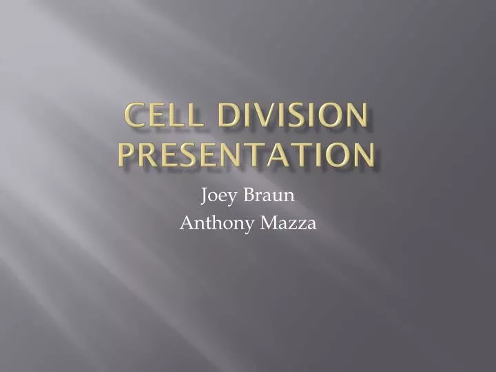 cell division presentation