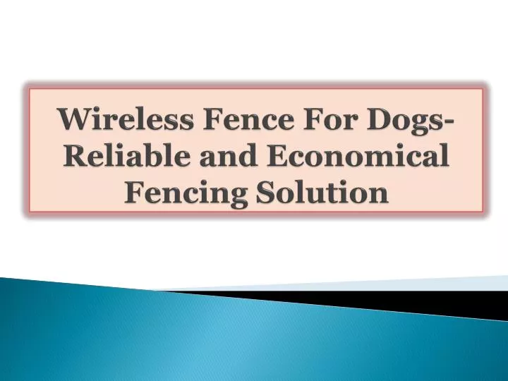 wireless fence for dogs reliable and economical fencing solution