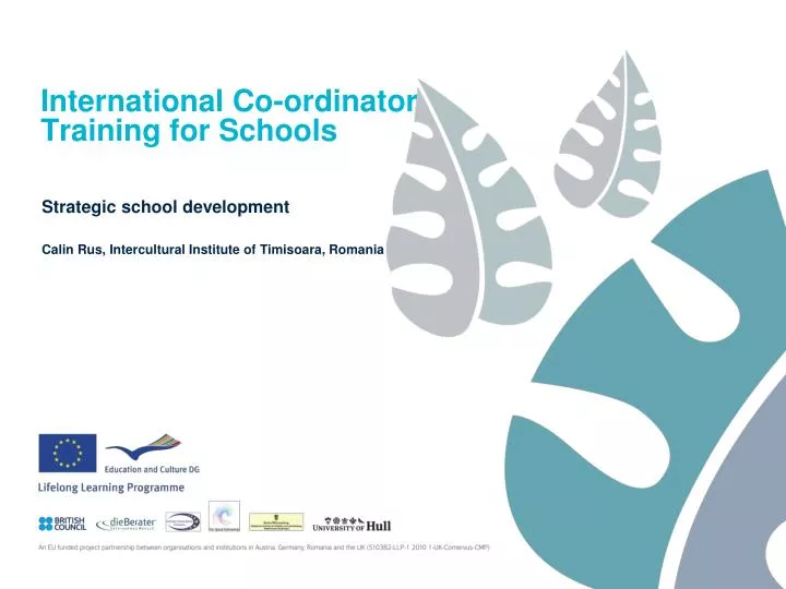 international co ordinator training for schools