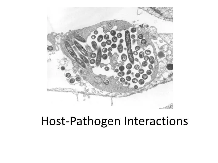 host pathogen interactions