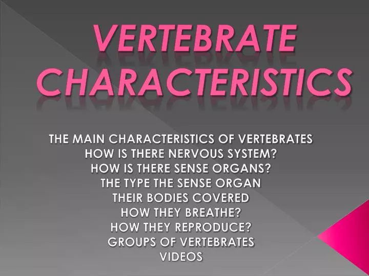 vertebrate characteristics