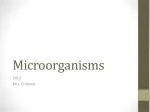 Microorganisms - slide 1