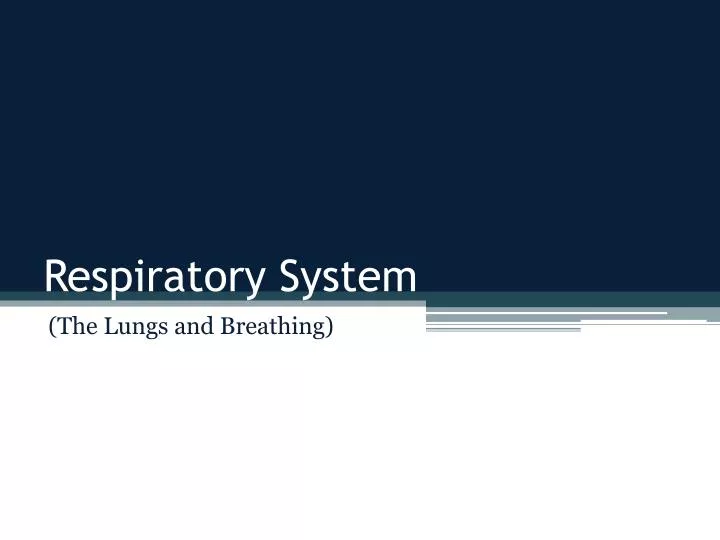 respiratory system