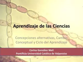 aprendizaje de las ciencias