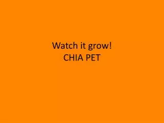 Watch it grow! CHIA PET