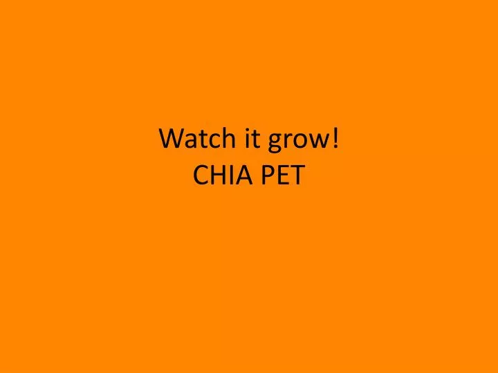 watch it grow chia pet