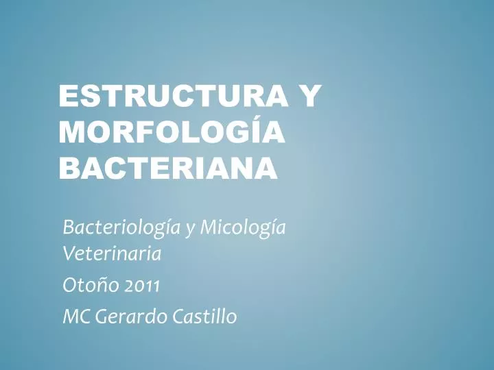 estructura y morfolog a bacteriana