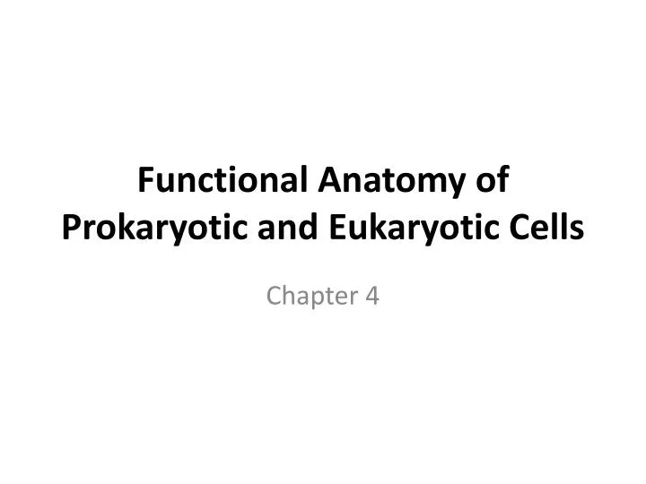 functional anatomy of prokaryotic and eukaryotic cells