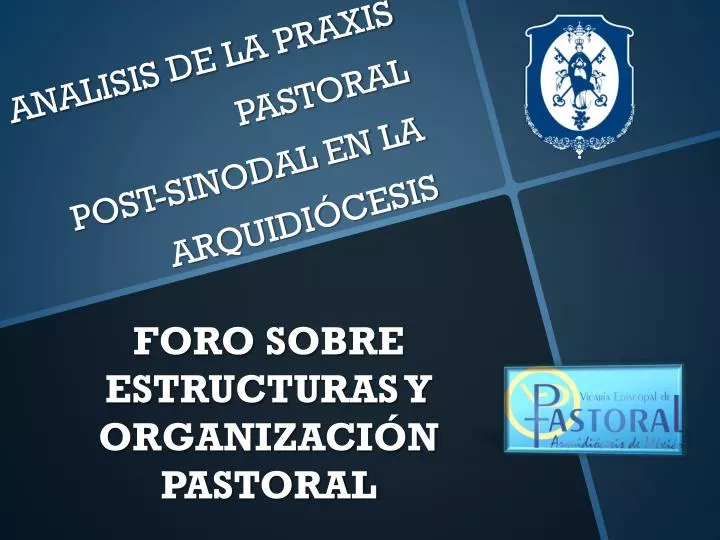 analisis de la praxis pastoral post sinodal en la arquidi cesis