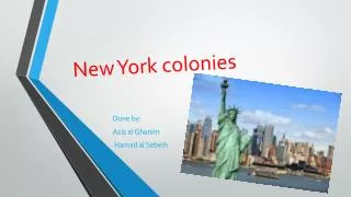 New York colonies