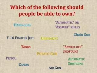 Which of the following should people be able to own?