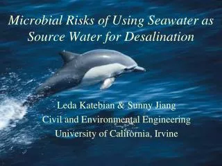 Microbial Risks of Using Seawater as Source Water for Desalination