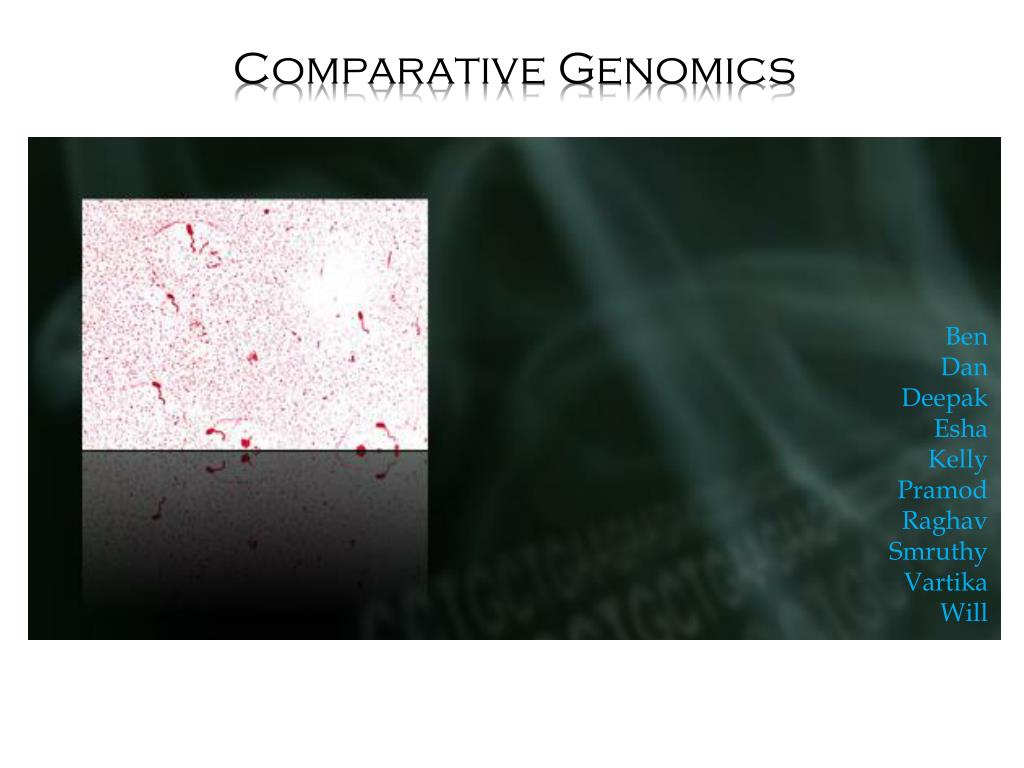 PPT - Comparative Genomics PowerPoint Presentation, free download - ID ...