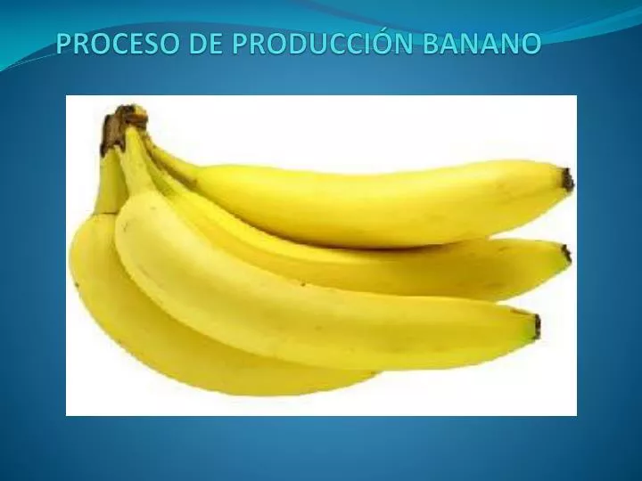 proceso de producci n banano