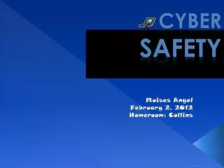 CYBER SAFETY